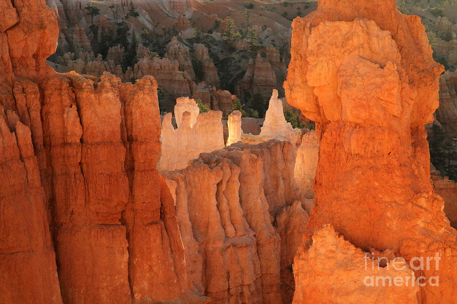 Sunrise in Bryce 7 Photograph by Edward R Wisell