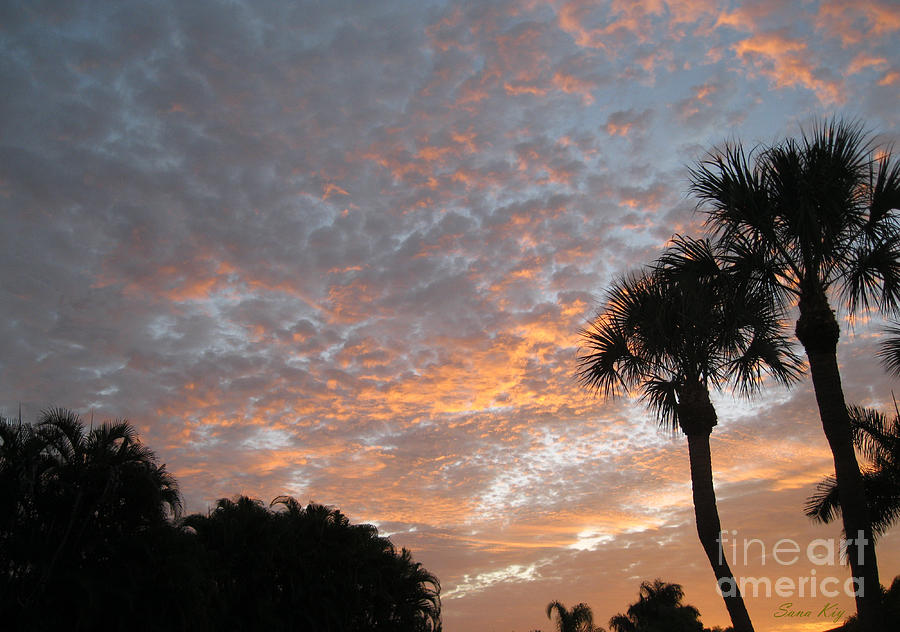 Sunrise in Florida Photograph by Oksana Semenchenko
