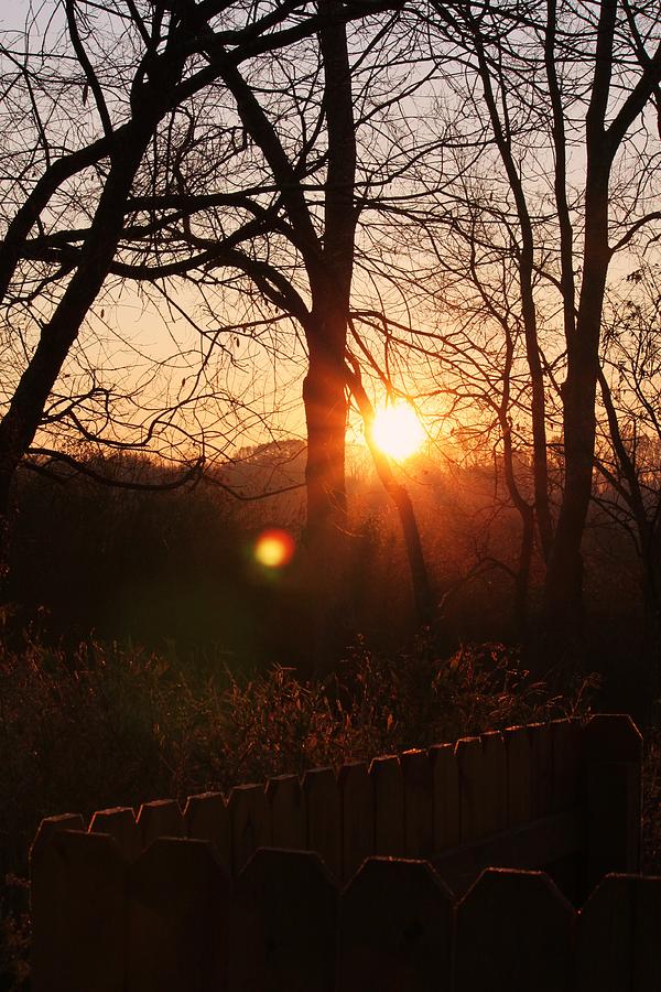 Sunrise in Hocking Hills Photograph by Haren Images- Kriss Haren