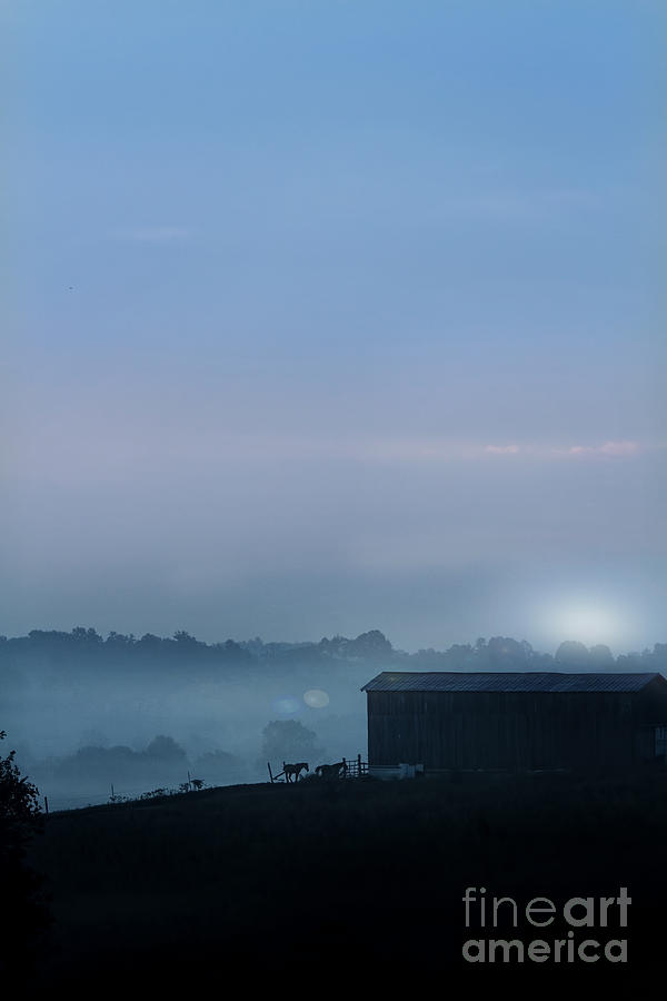 Sunrise in Kentucky Photograph by Stephanie Frey