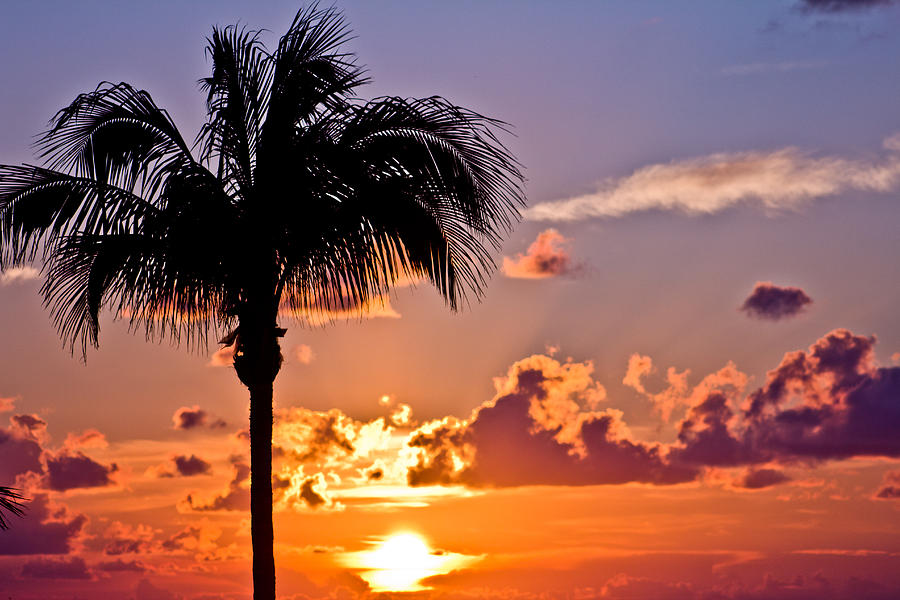 Sunrise in Key West  Photograph by John McGraw