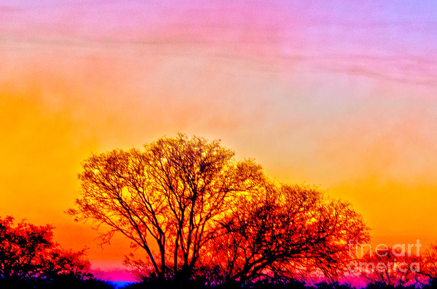 Sunrise in Kruger Digital Art by Pravine Chester