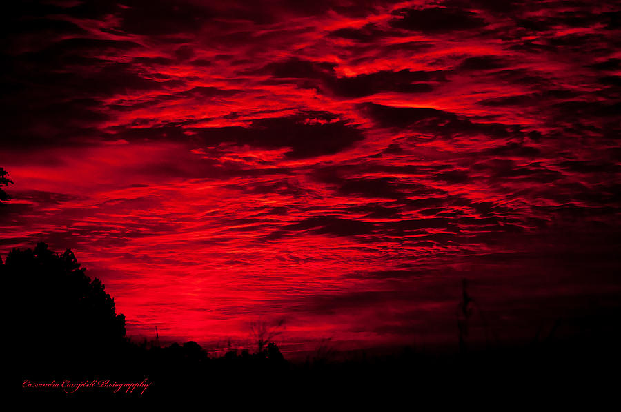 Sunrise In Red Photograph