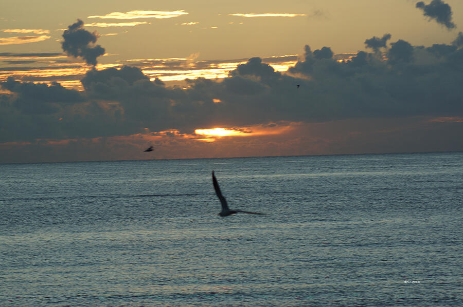 Sunrise in the Florida Riviera Photograph by Rafael Salazar