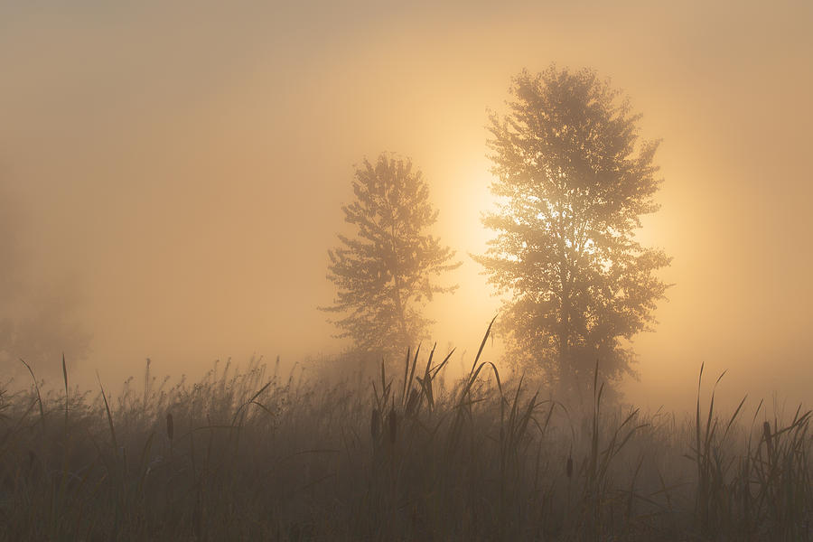 Sunrise In The Mist Photograph