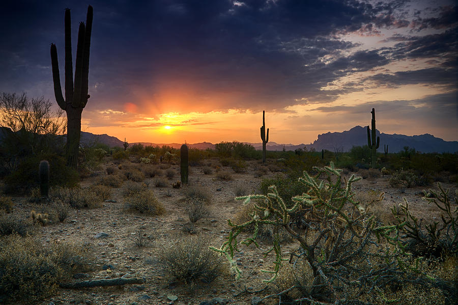 Sunrise in the Southwest Photograph by Saija Lehtonen