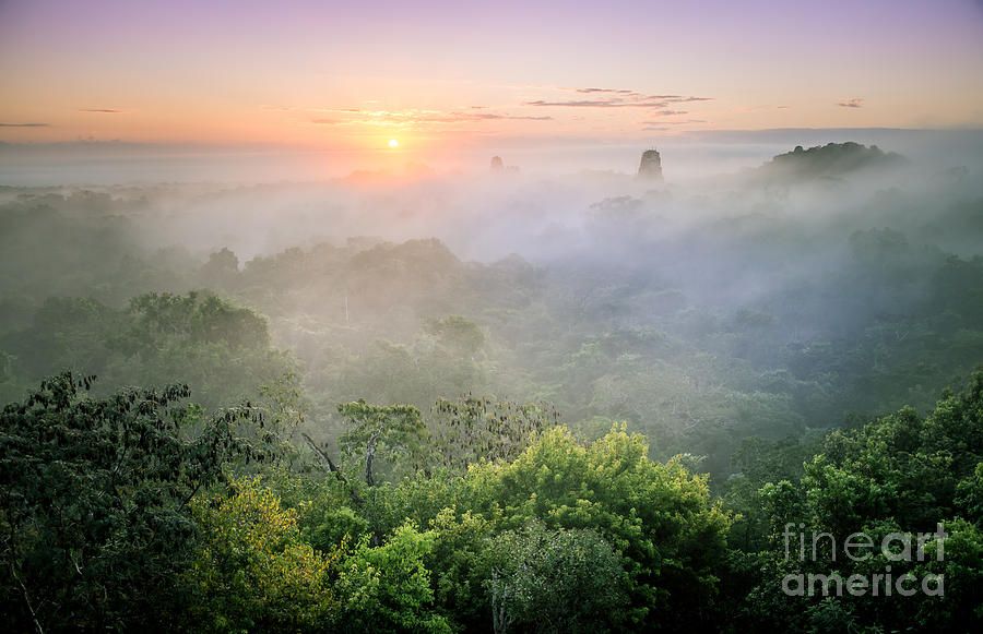 Jungle Photograph - Sunrise in Tikal by Jola Martysz