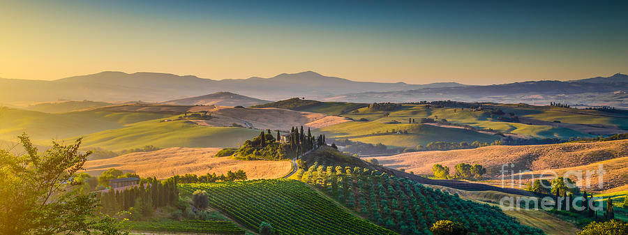 A Golden Morning in Tuscany Photograph by JR Photography