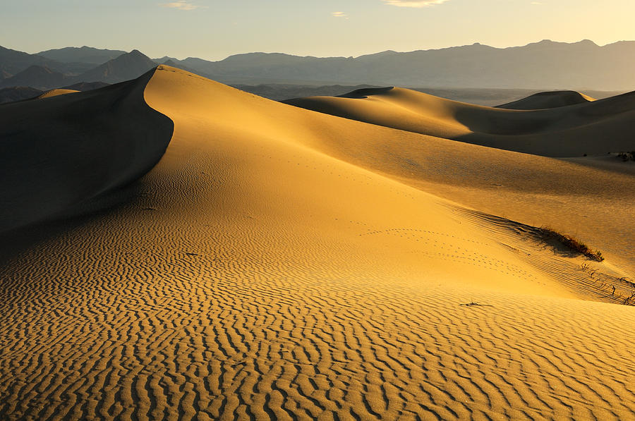 Sunrise landscape of Mesquite Flat Sand Dunes Photograph by Yevgen ...