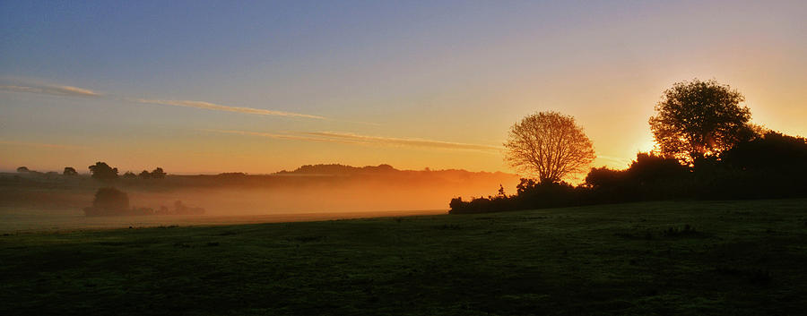 Sunrise New Forest Style Photograph by Image Brought To You Through The Eye Of Andrew Parker