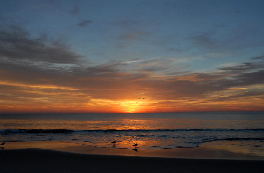 Sunrise Ocean 180 Photograph by Joyce StJames