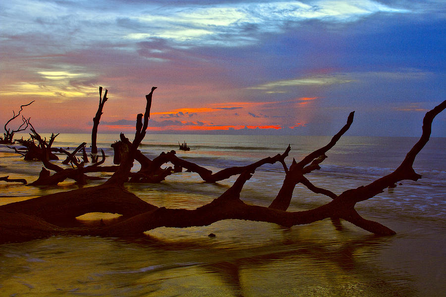 Sunrise on Bulls Island Photograph by Bill Barber