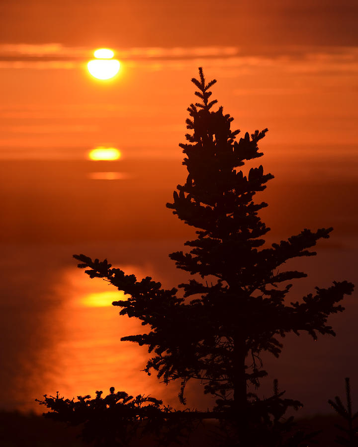 Tree Photograph - Sunrise on Cadillac Mountain Bar Harbor Maine by Toby McGuire