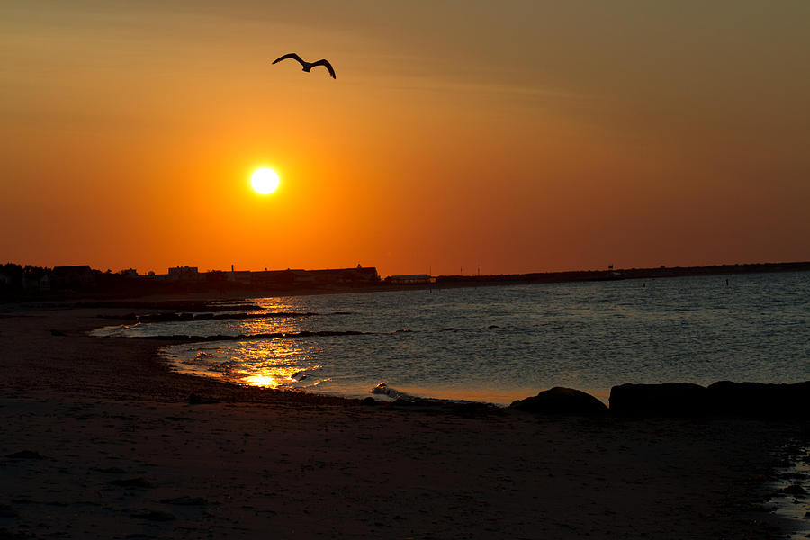 Sunrise On Cape Cod Photograph by John Hoey