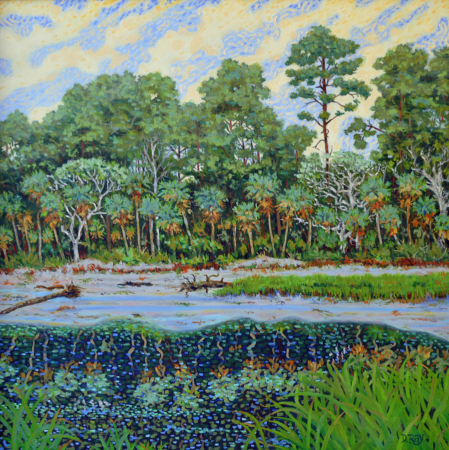 Sunrise on Hunting Island Lagoon Painting by Dwain Ray