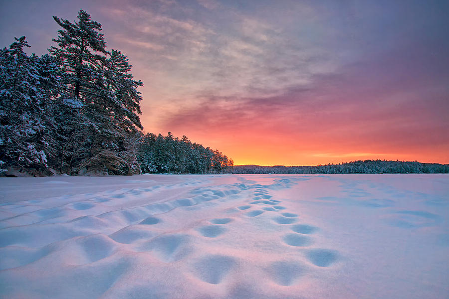Sunrise on Keoka Lake Photograph by Darylann Leonard Photography