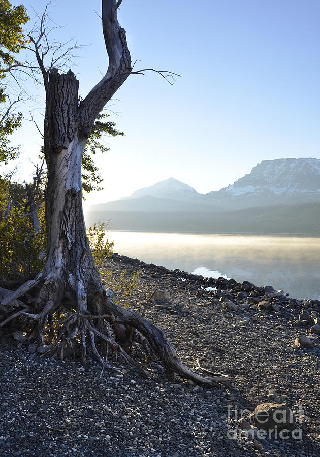 Mountain Photograph - Sunrise on Misty Mountain Lake by Jill Battaglia