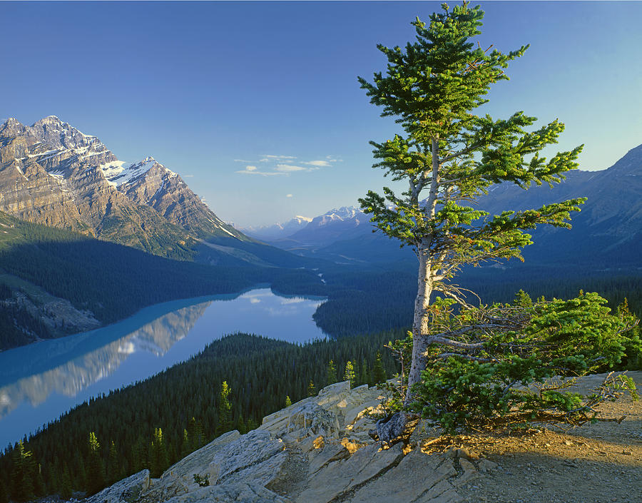1M3608-Sunrise on Peyto Lake Photograph by Ed  Cooper Photography