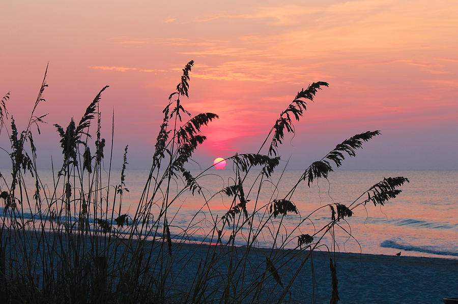 Sunrise On The Beach Photograph