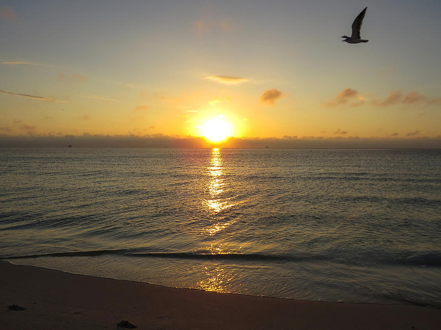 Sunrise on the beach Photograph by Zina Stromberg