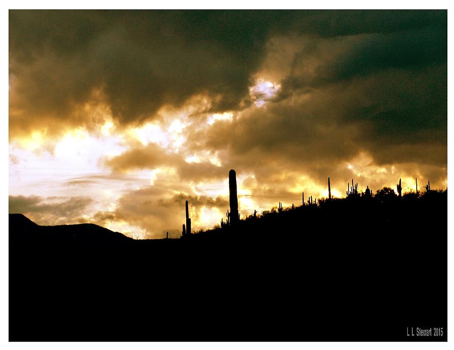Sunrise on The Desert Photograph by L L Stewart