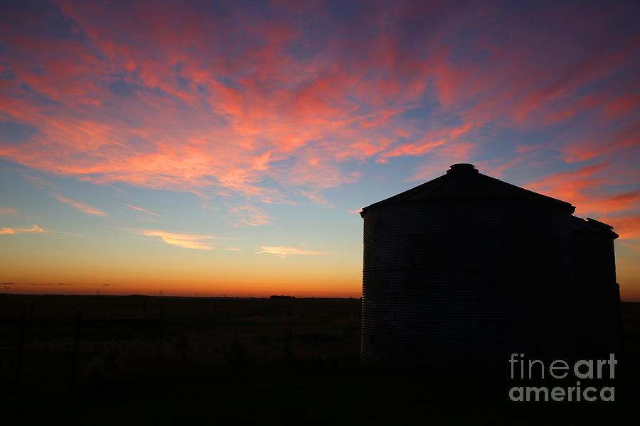 Sunrise on the Farm Photograph by Betty Morgan