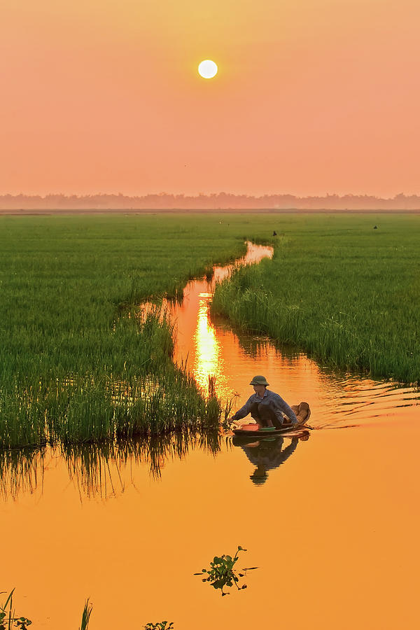 Sunrise On The Field Photograph by Long Hoang Sunrise On The Field Photograph by Long Hoang