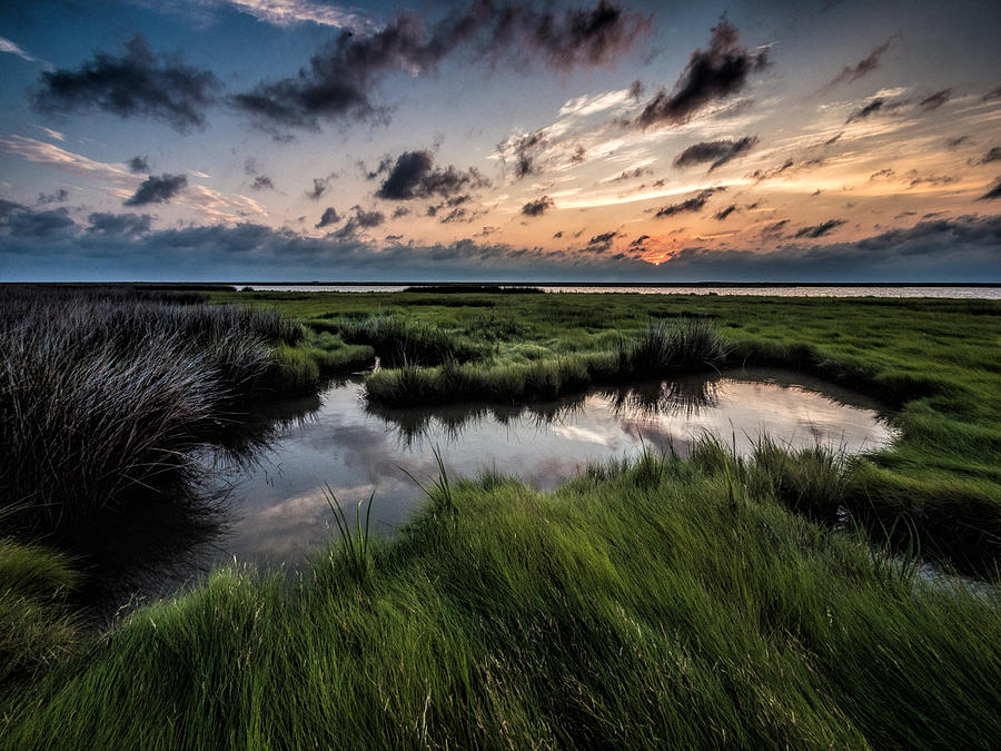 Sunrise on the Marsh Photograph by David Kay