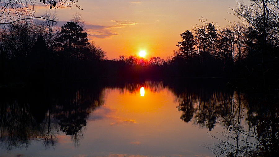 Sunrise on the Pond Photograph by Jean Wright
