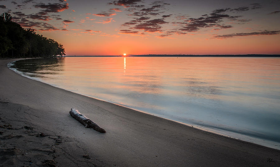 Driftwood Photograph - Sunrise on the Potomac by Pat Scanlon Driftwood Photograph - Sunrise on the Potomac by Pat Scanlon