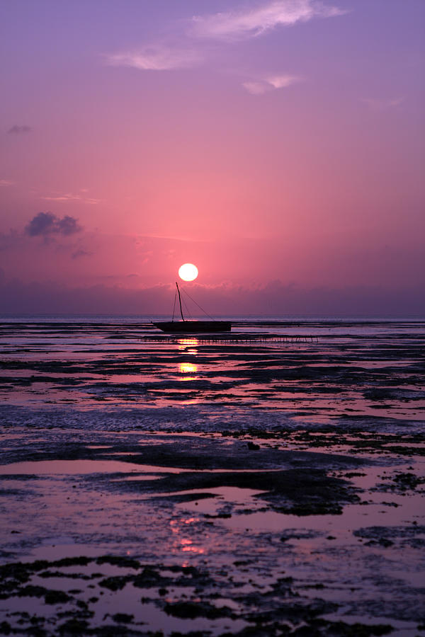 Zanzibar Island Sunrise Photograph by Aidan Moran