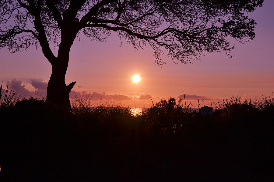 Beach Photograph - Sunrise over beach by Jeb Grimes