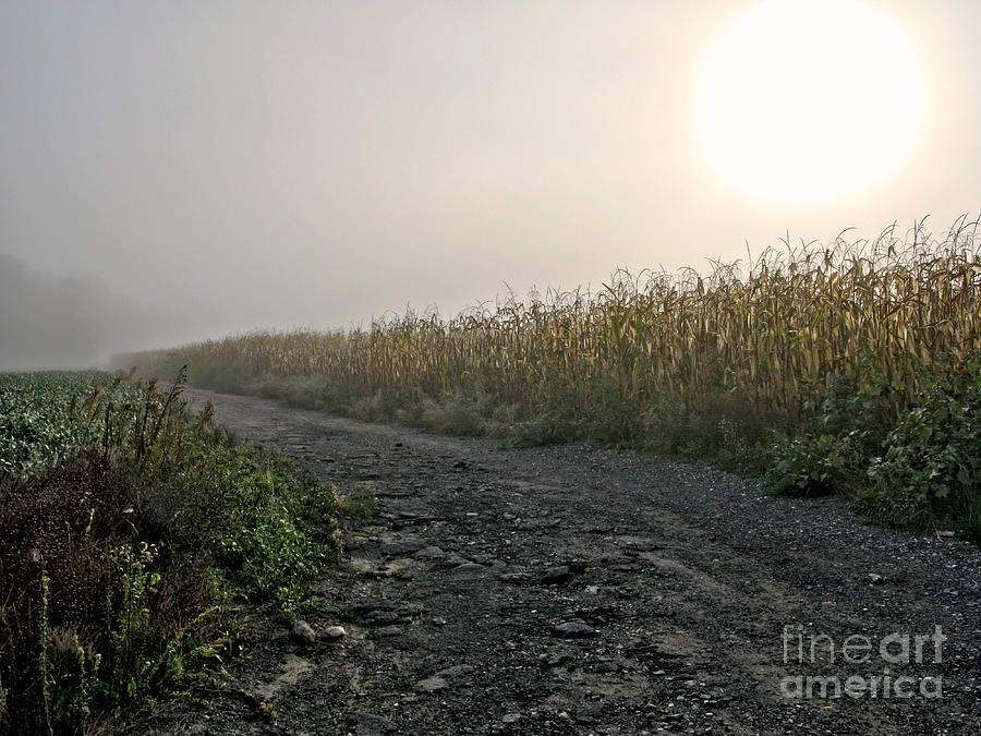 Morning Photograph - Sunrise over Country Road by Olivier Le Queinec