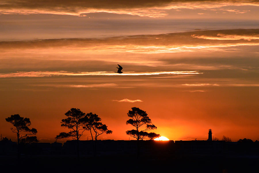 Sunrise Over Fenwick Island Photograph