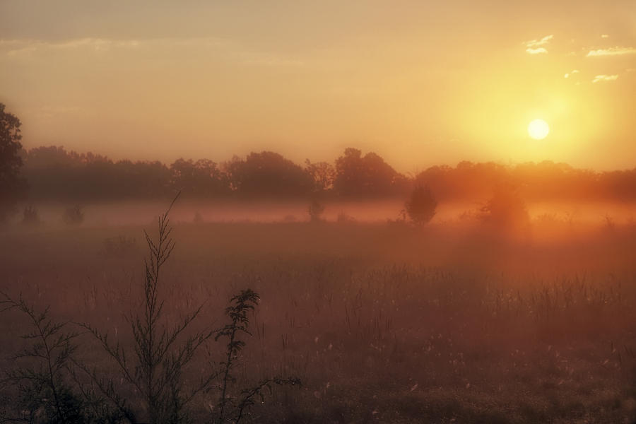 Sunrise over Foggy Pastures Photograph by Jason Politte
