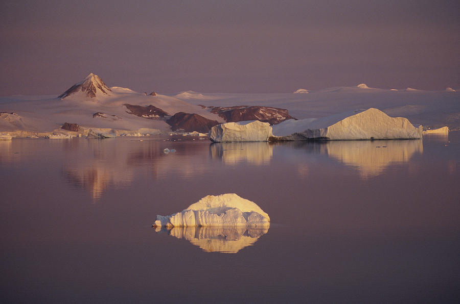 Sunrise Over Icebergs Antarctic Sound Photograph by Tui De Roy