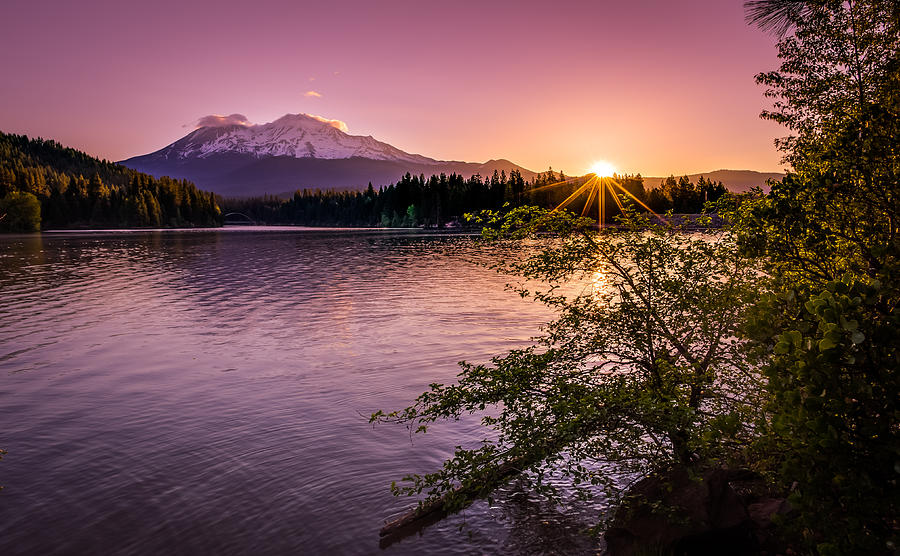 Spring Photograph - Sunrise over Lake Siskiyou and Mt Shasta by Scott McGuire