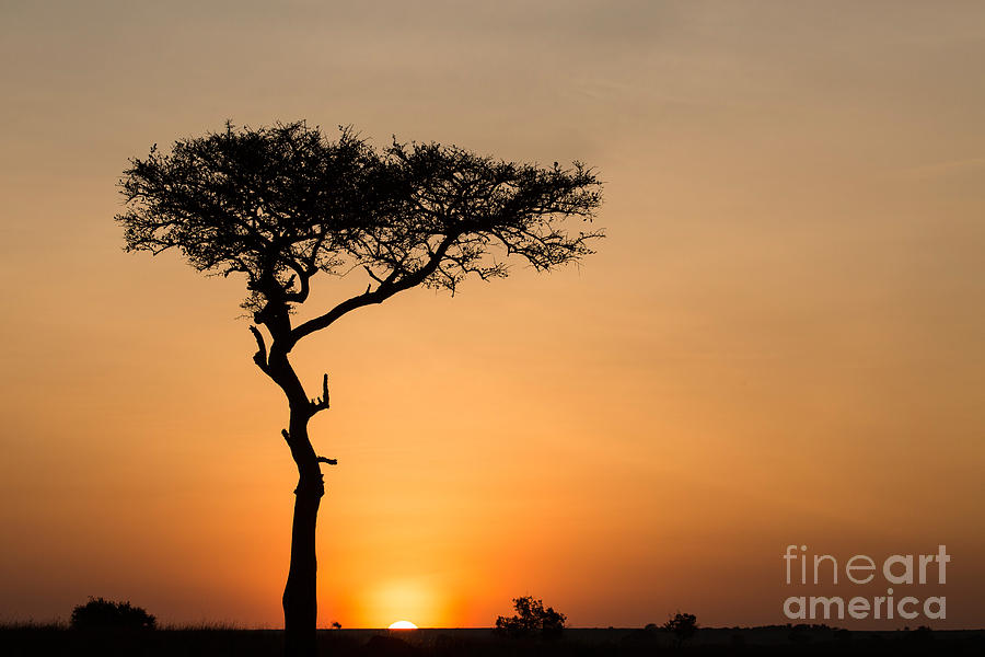 Sunrise Over Maasai Mara Photograph by Greg Dimijian