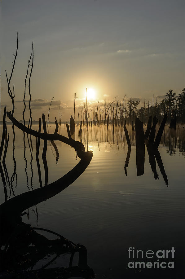 Sunrise over Manasquan Reservoir II Photograph by Debra Fedchin