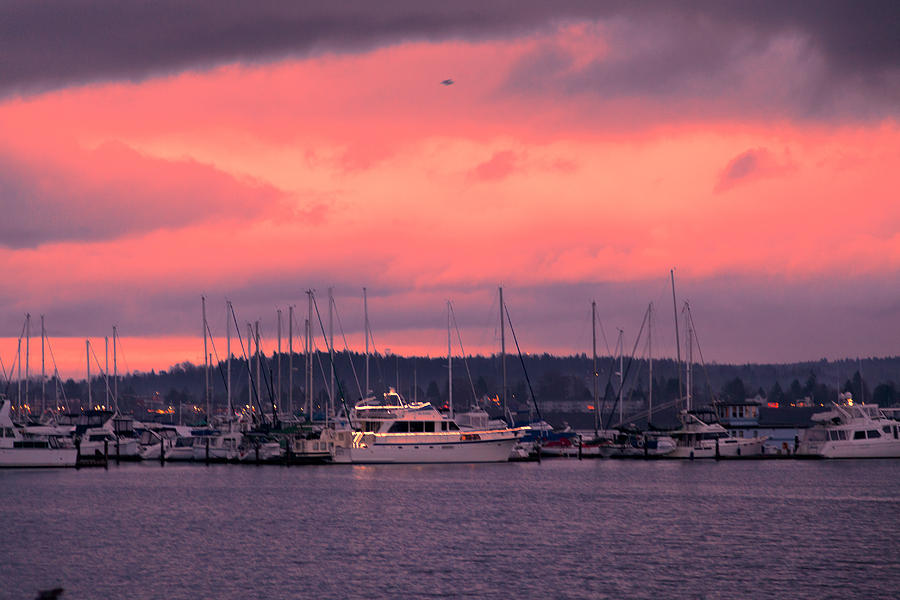 Sunrise over Marina Photograph by Judy Wright Lott