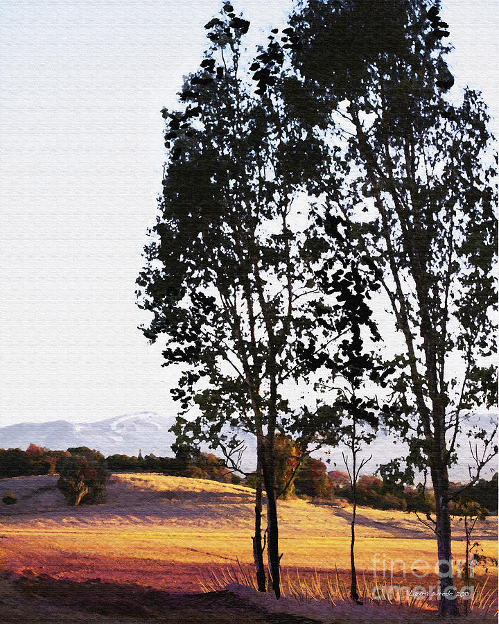 Tree Painting - Sunrise Over Northern California Hills by Artist and Photographer Laura Wrede