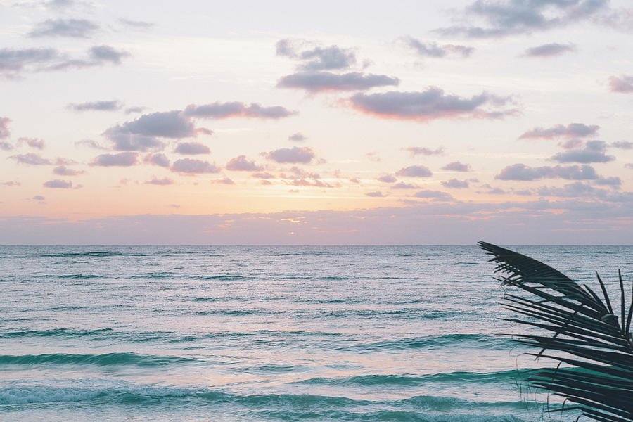 Sunrise Over Ocean Waves With Palm by Sasha Weleber