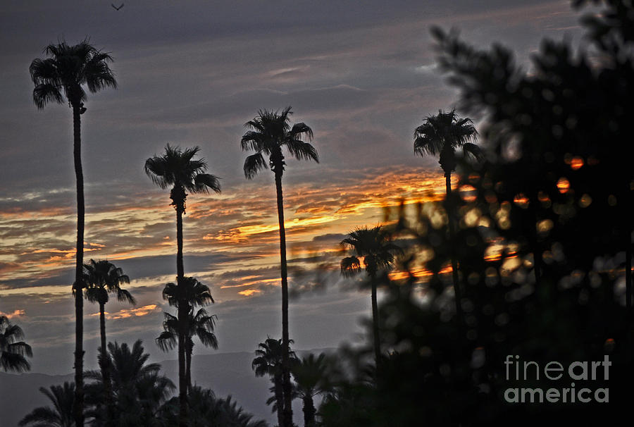 Sunrise Over Palm Desert Photograph by Jay Milo