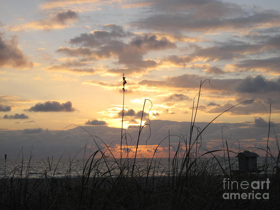 Sunrise over sea Photograph by Amanda Mohler