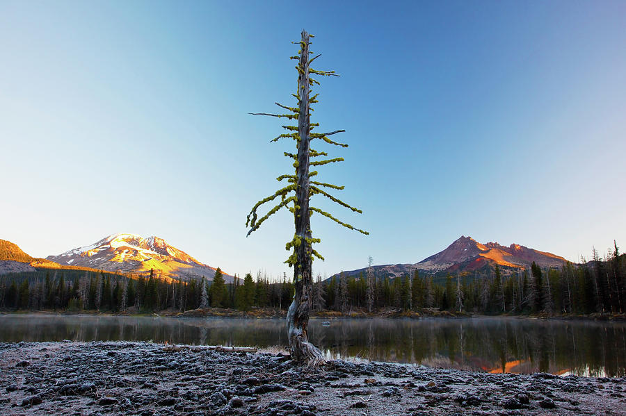 Sunrise Over Sparks Lake And The Three Photograph by Craig Tuttle / Design Pics