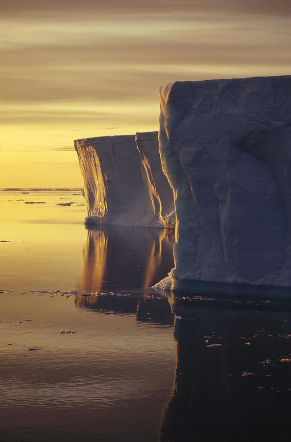 Sunrise Over Tabular Icebergs Antarctica Photograph by Tui De Roy