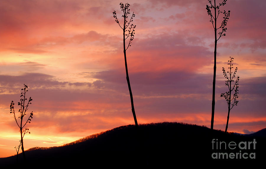 Great Smoky Mountains Digital Art - Sunrise over the Great Smoky Mountains by Glenn Morimoto