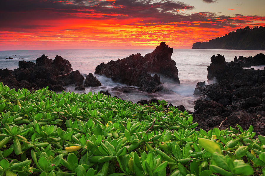 Sunrise Over The Ocean And Coastline Photograph by Carl Johnson