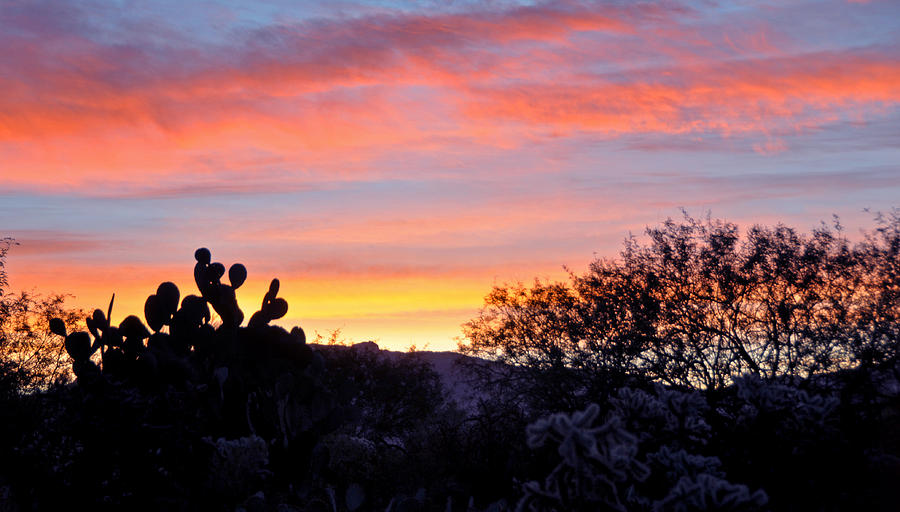 Tucson Photograph - Sunrise Over The Sonoran Desert by Jon Van Gilder