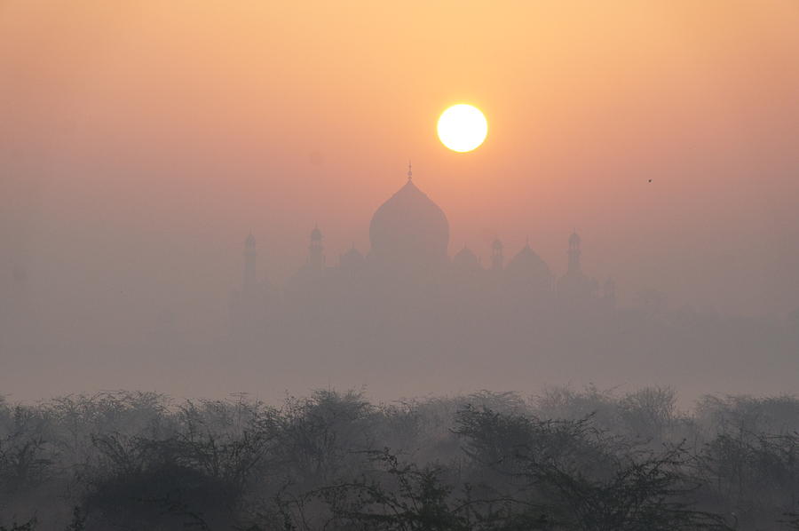 Sunrise over the Taj Photograph by Elena Perelman